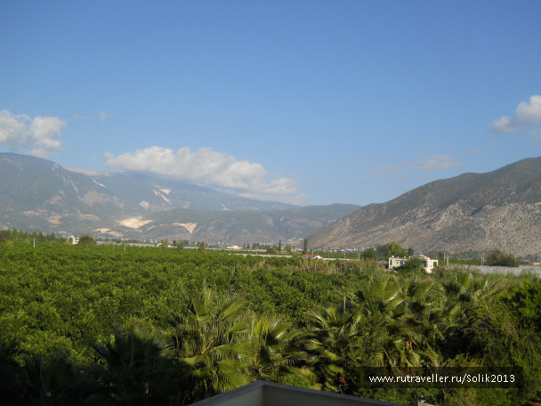 photo 535532
