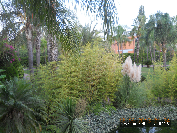 photo 1117198