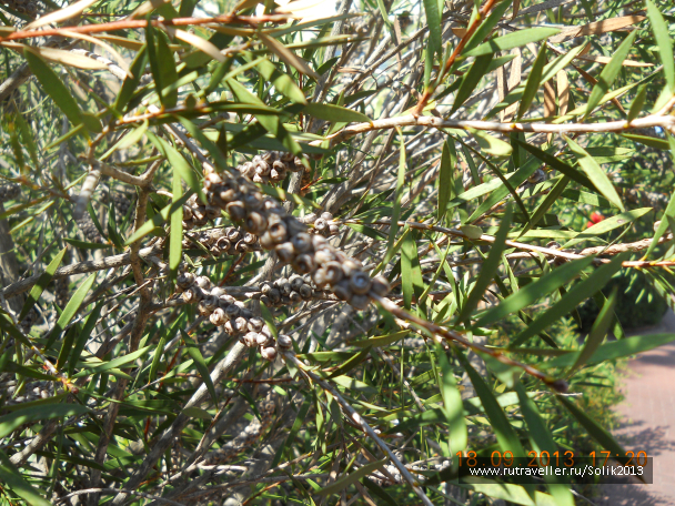 photo 1117199