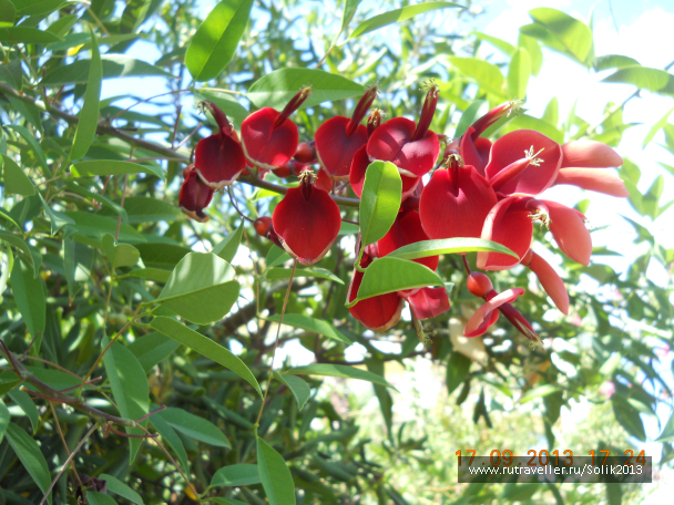 photo 1117201