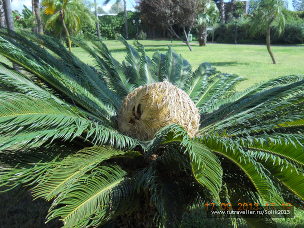 photo 1117203