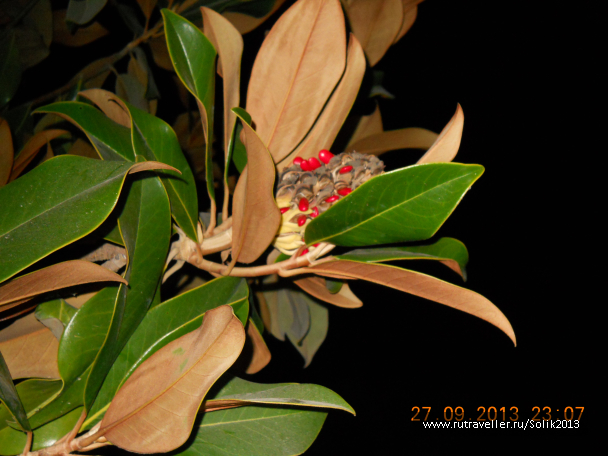 photo 1117316