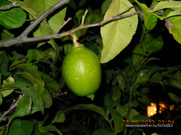 photo 1117317