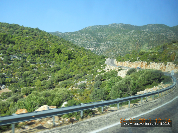 photo 1181831