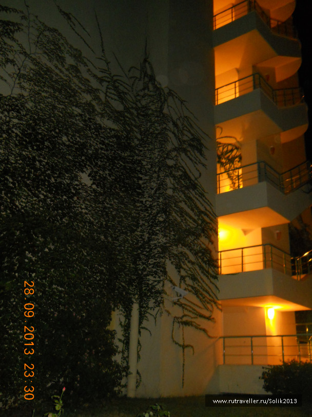 photo 1194046