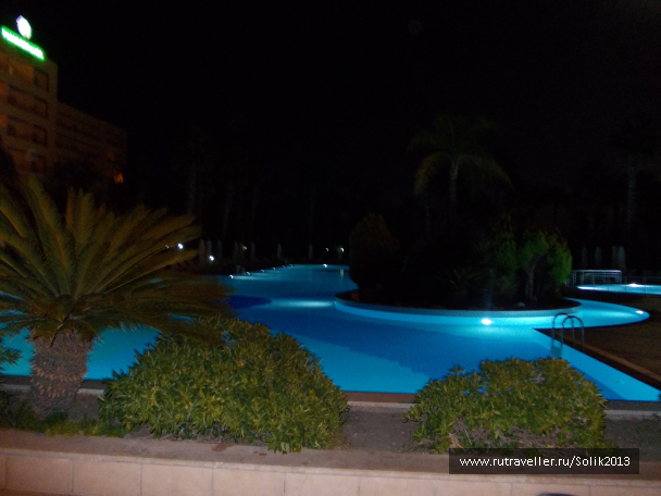 photo 1197733