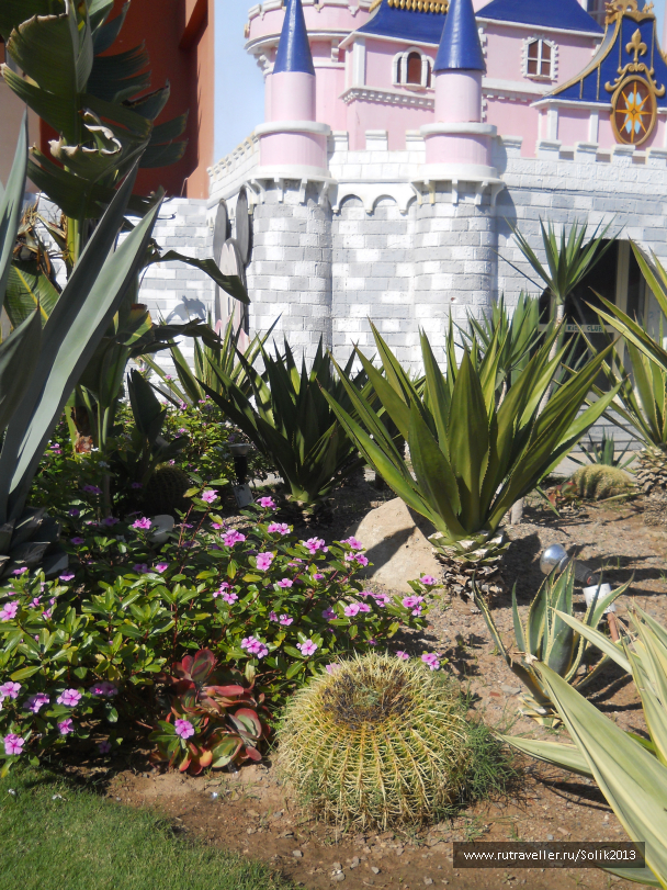 photo 1214438