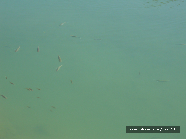 photo 1217593