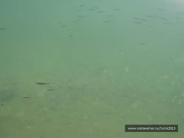 photo 1217595