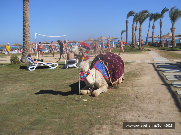photo 1222103