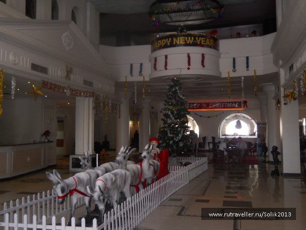 photo 1223873