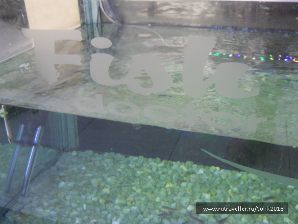 photo 1223879