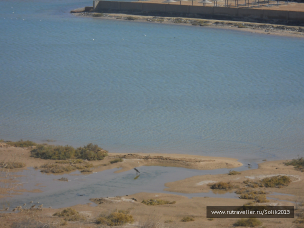 photo 1225031