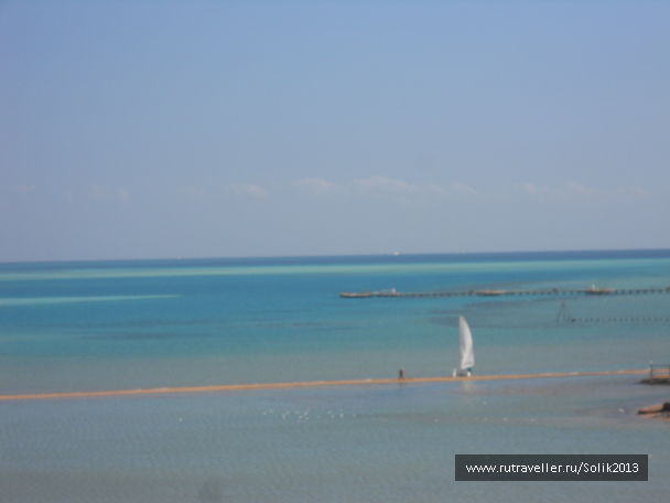 photo 1225033