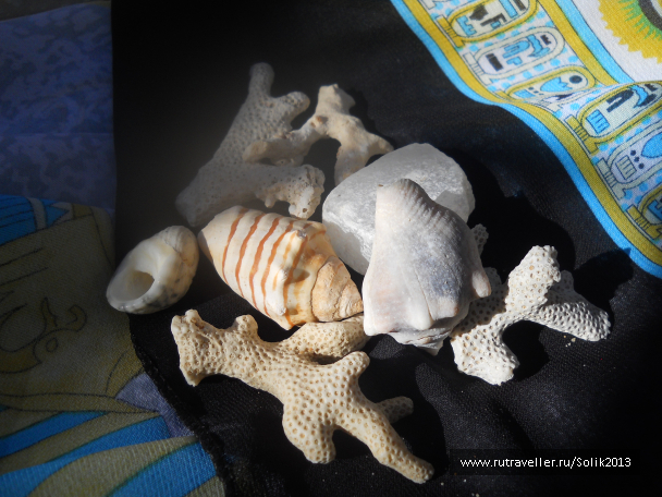 photo 1228297
