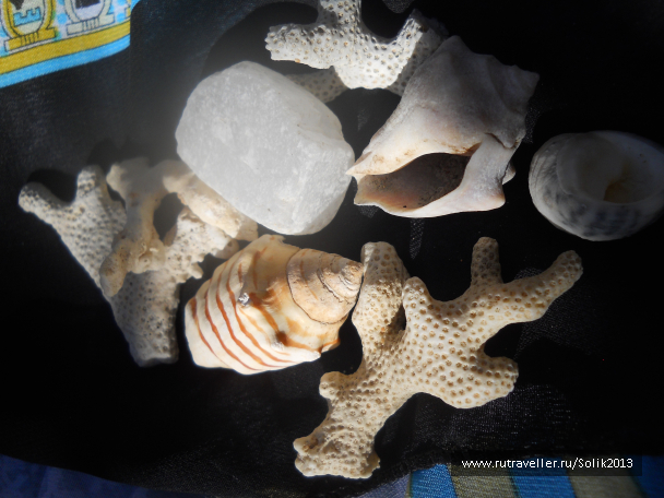 photo 1228298