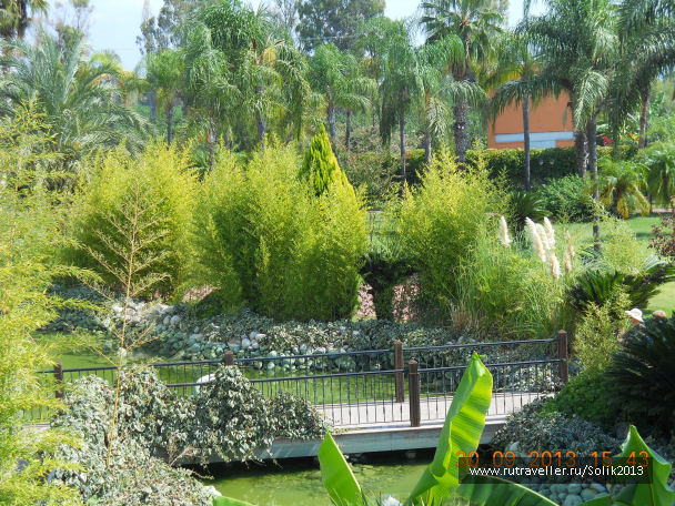 photo 1087879
