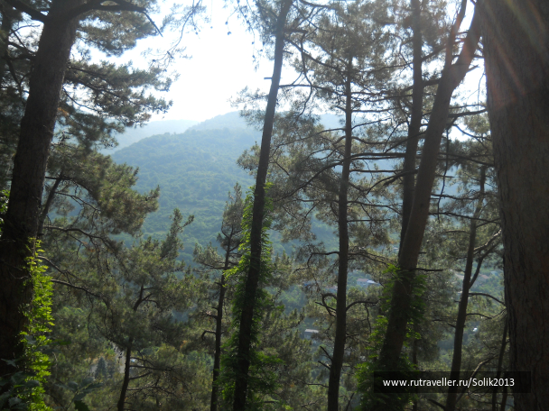 photo 1066098