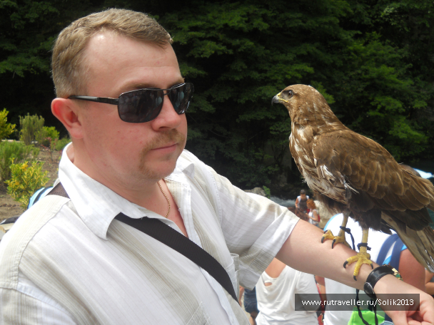 photo 1066154