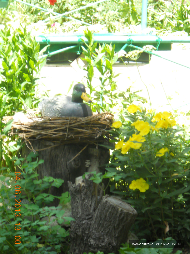 photo 1230603