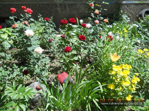 photo 1231485