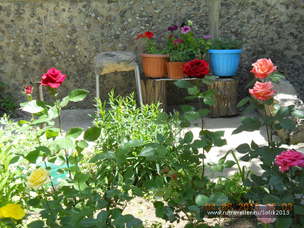 photo 1231486