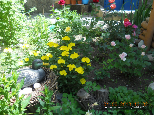 photo 1231487