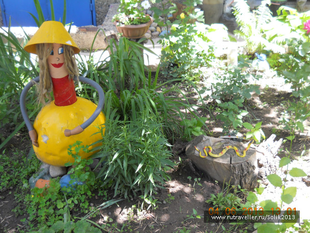 photo 1231490