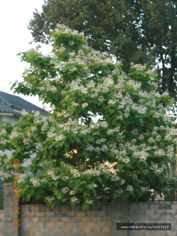 photo 1232576