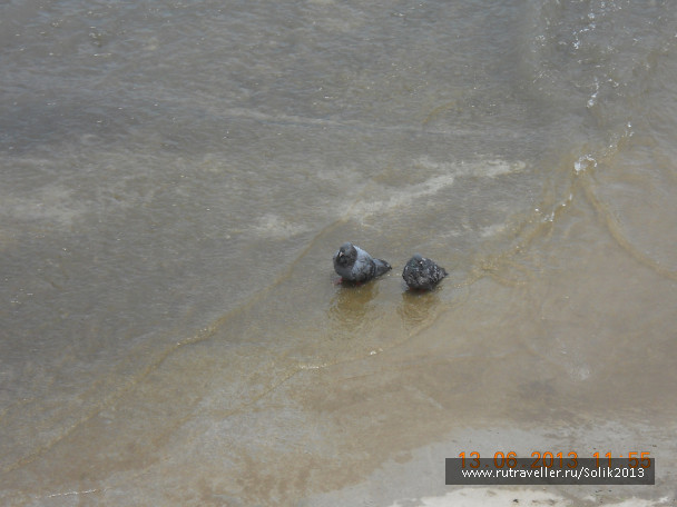photo 1233012