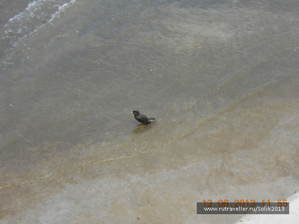 photo 1233013