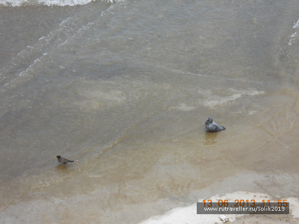photo 1233015
