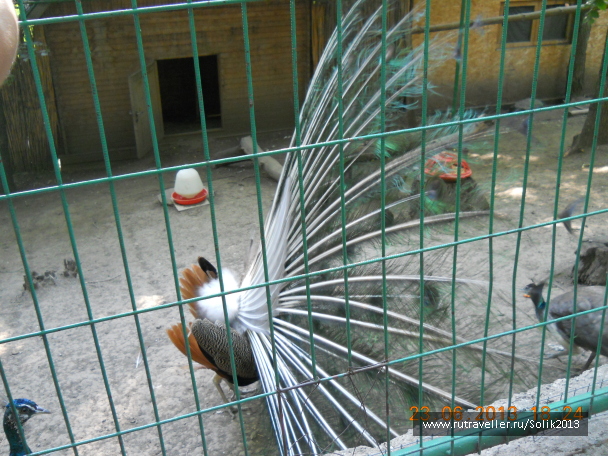 photo 1233969
