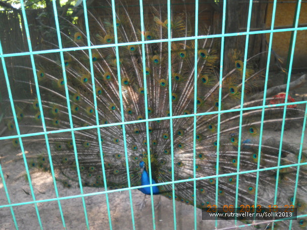 photo 1233970