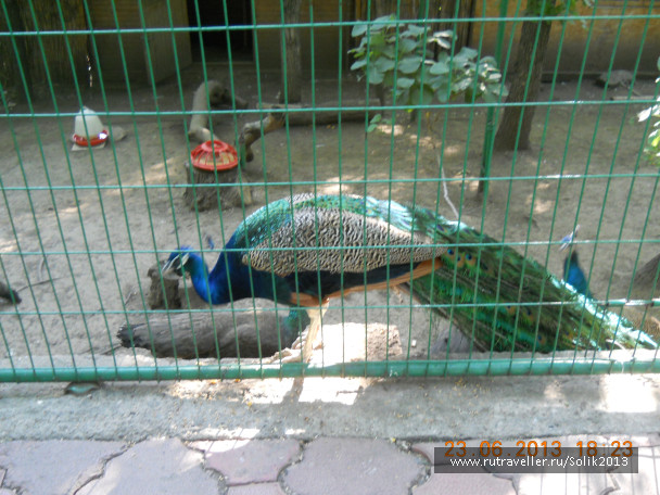 photo 1233971