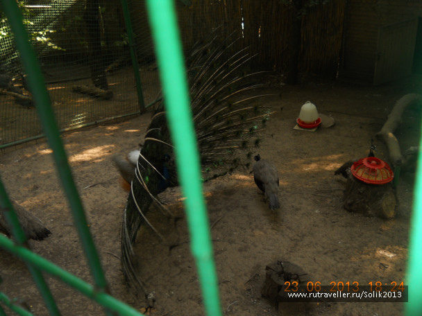 photo 1233974