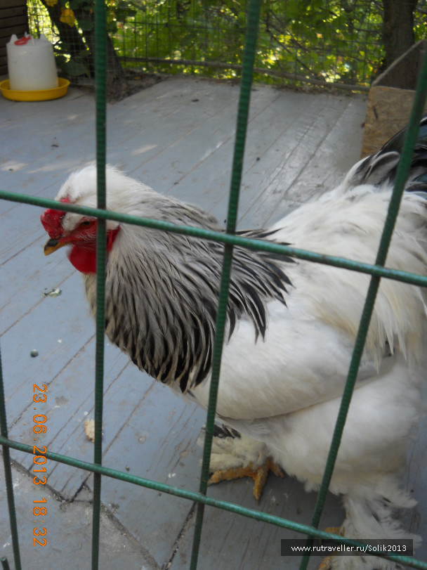 photo 1234744