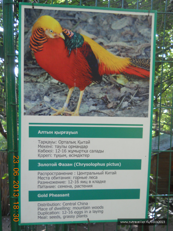 photo 1234745
