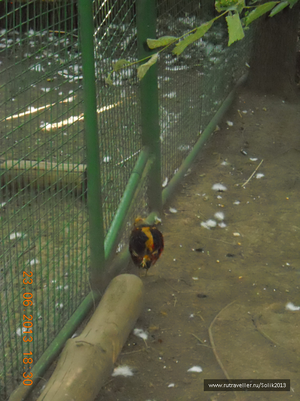 photo 1234746