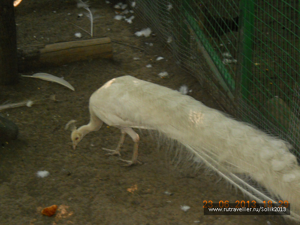 photo 1234747