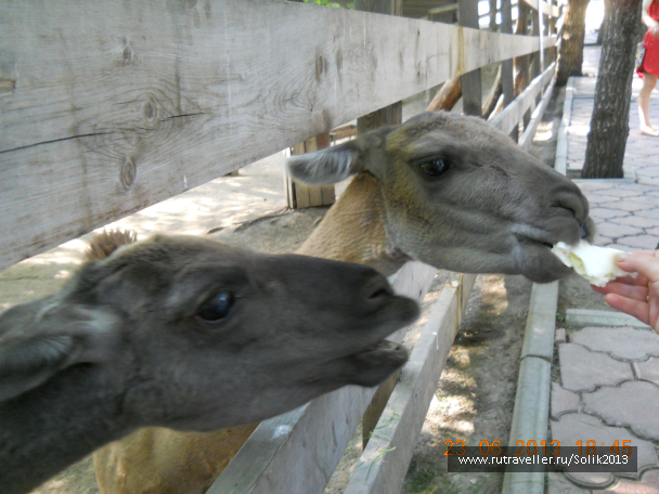 photo 1237246