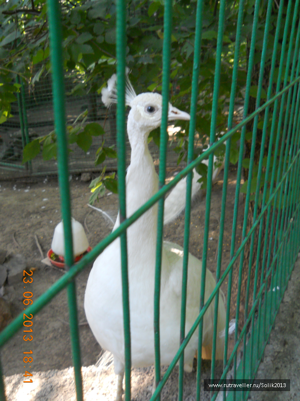 photo 1237247