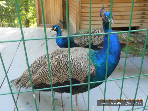 photo 1237249