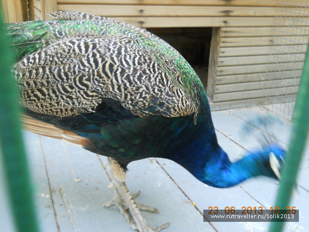 photo 1237251
