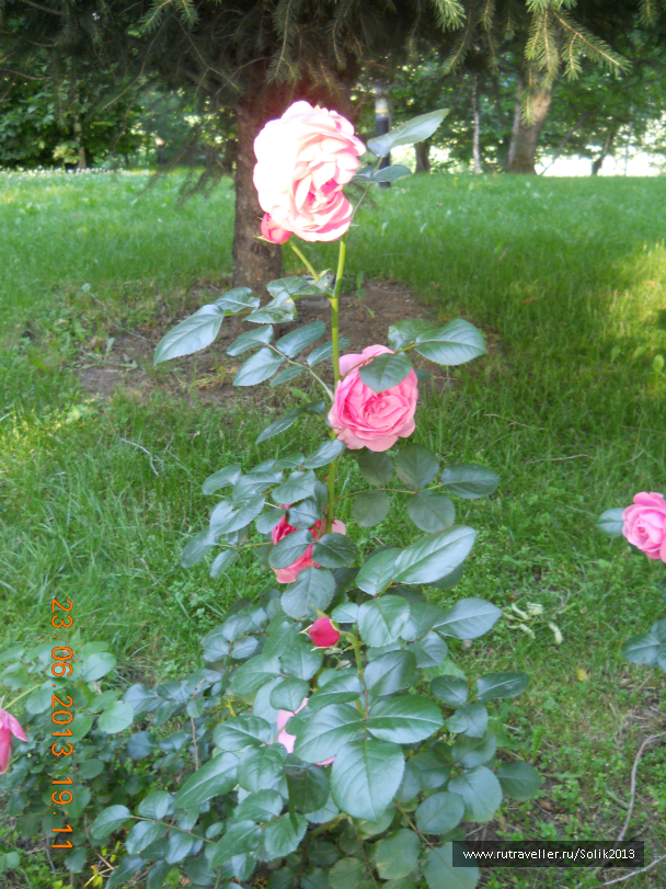 photo 1240029