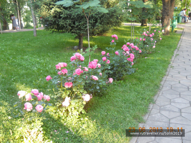 photo 1242745