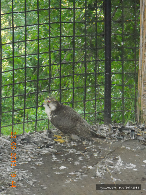 photo 1243755