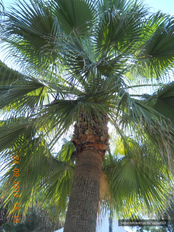 photo 1164144