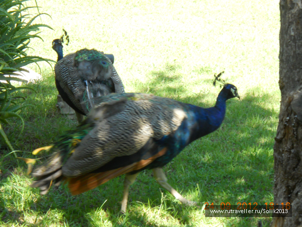 photo 1164146