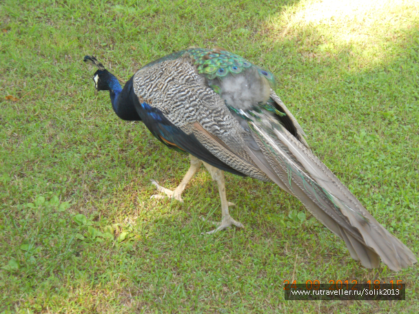 photo 1164147